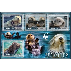 Fauna Sea otter